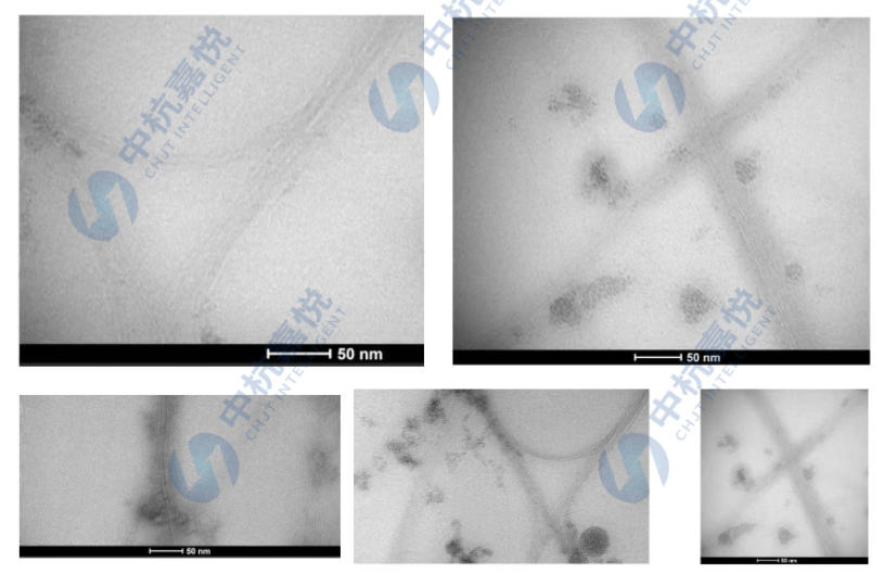 A CHJT collage of five Transmission Electron Microscope (TEM) images showcasing their single-walled carbon nanotubes, revealing the fine, bundled structure of the material at the nanoscale A CHJT collage of five Transmission Electron Microscope (TEM) images showcasing their single-walled carbon nanotubes, revealing the fine, bundled structure of the material at the nanoscale